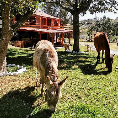 La Granja De Papa Alberto Puembo Kültér fotó